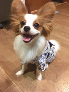 ☀お盆休みにお便りを頂きました❤いつもありがとうございます❤