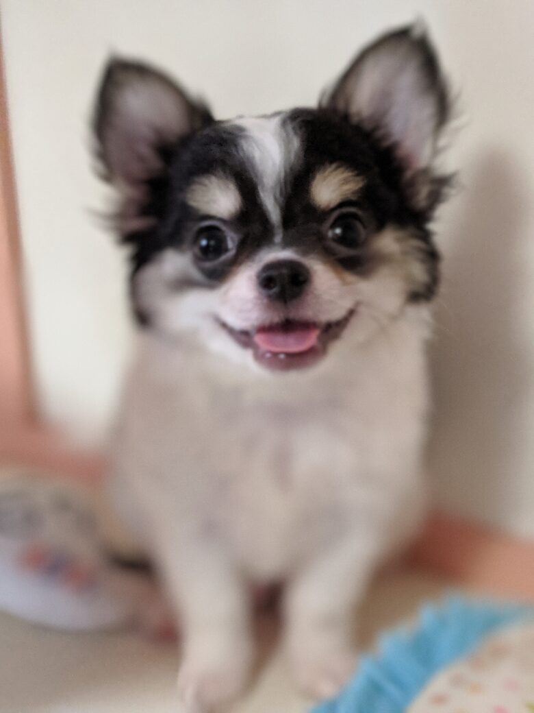 素敵なご縁を頂きました💗