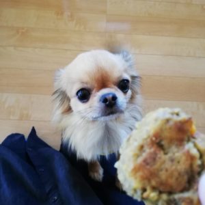 いつも沢山のお便りをありがとうございます♥
